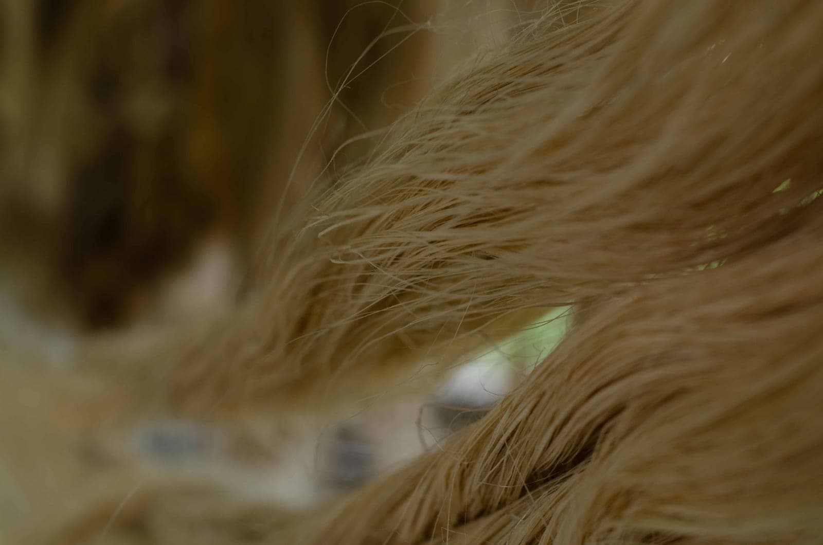Fibra natural de abacá en detalle para aplicaciones industriales sostenibles